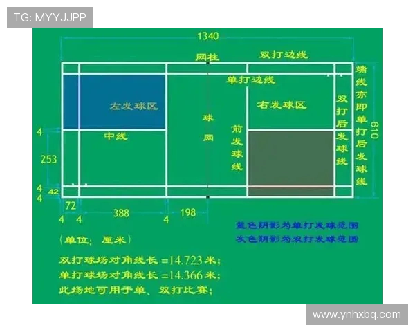 北京排球队个人能力深度对比分析与发展潜力探讨 北京排球队个人能力深度对比分析与发展潜力探讨