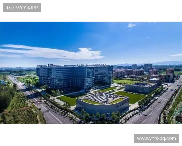 北京足球队在联合会杯中的实力展现与未来发展潜力分析