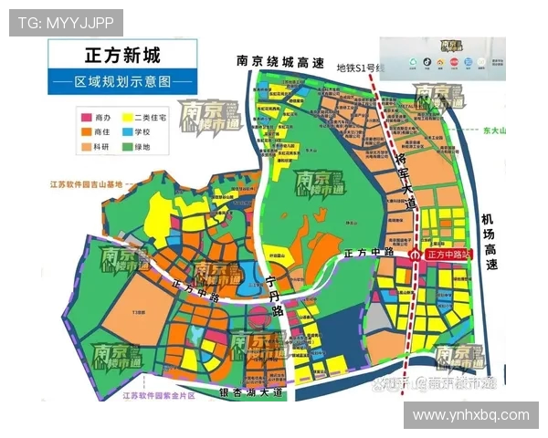 南京排球队中路突破战术解析与实战应用探讨
