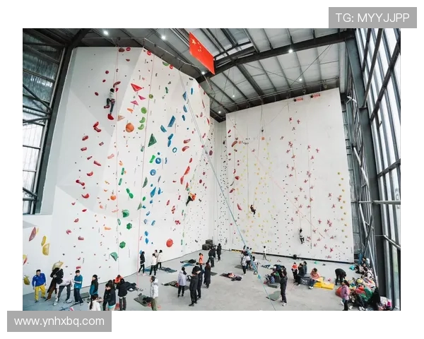 南京攀岩队的转换打法深度解析与战术创新探讨