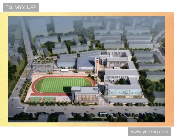 成都排球队进攻革新之路探索团队协作与战术创新的完美结合