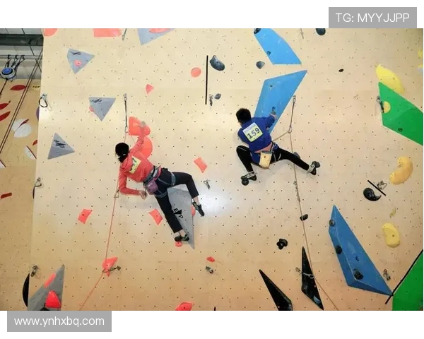 成都攀岩队的意识提升与团队精神探讨聚焦攀岩运动的未来发展