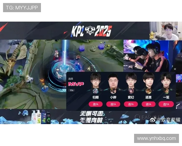 王者荣耀巨献：探秘TES的实力