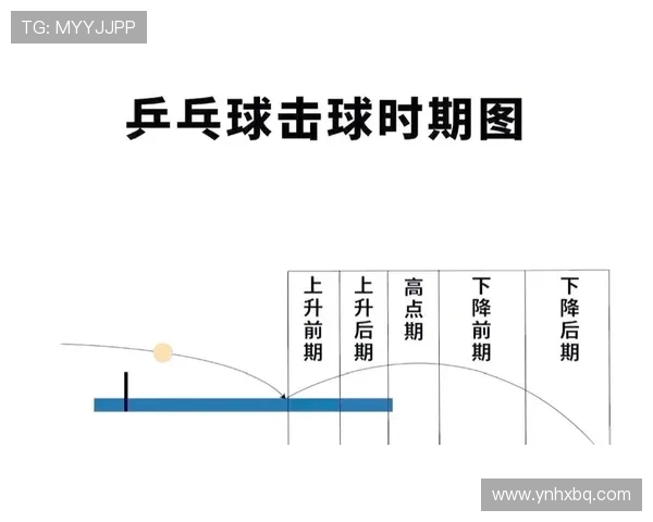 聚焦乒乓球上海乒乓球队如何掌握比赛节奏与战略调整