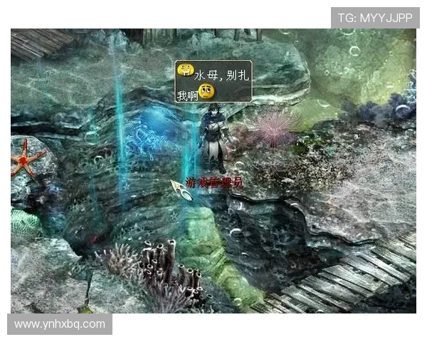 德岛漩涡与砺木的对决探秘两地文化与风景的奇妙交融