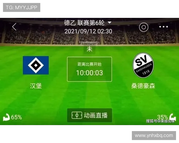 汉堡对桑德豪的精彩比赛比分分析与赛后点评