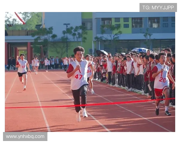 陈芳独家分享飞盘技巧与心得体会助你轻松掌握这项运动的魅力与乐趣