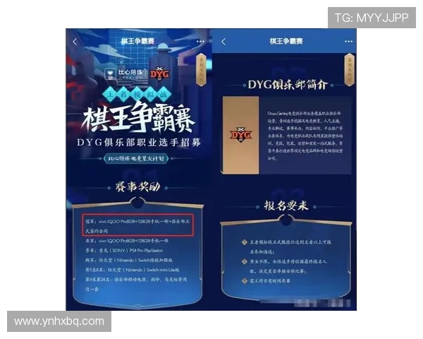 王者荣耀专题深度解析IG战队团队协作的成功秘诀与策略分享
