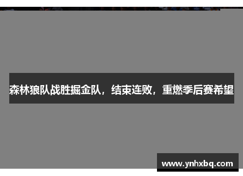 森林狼队战胜掘金队，结束连败，重燃季后赛希望